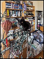 September 29, 2025.  ( color)