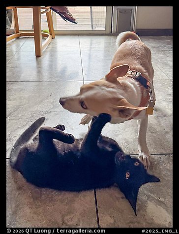 October 2, 2025.  (color)