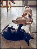 October 2, 2025.  ( color)