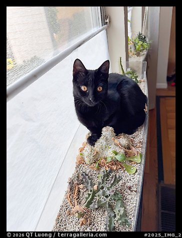 October 29, 2025.  (color)