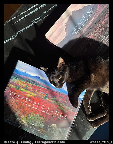 December 11, 2025.  (color)