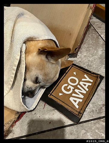 January 29, 2025.  (color)