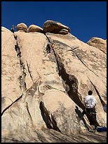 February 1, 2025.  ( color)