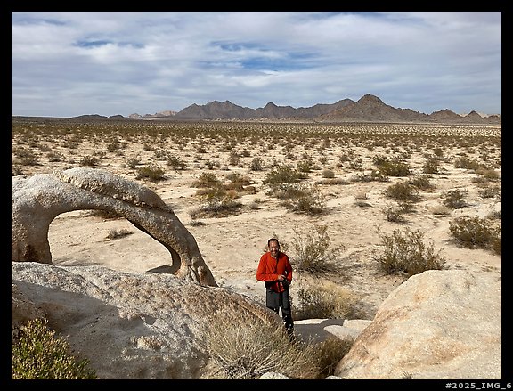 February 3, 2025.  (color)