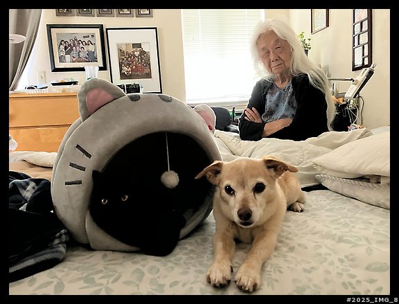 October 26, 2025.  (color)