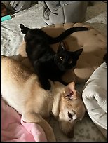 November 3, 2025.  ( color)