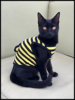 November 5, 2025.  ( color)