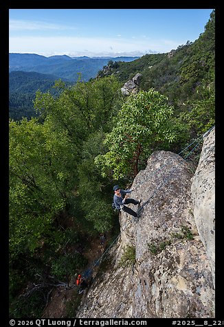 March 1, 2025.  (color)