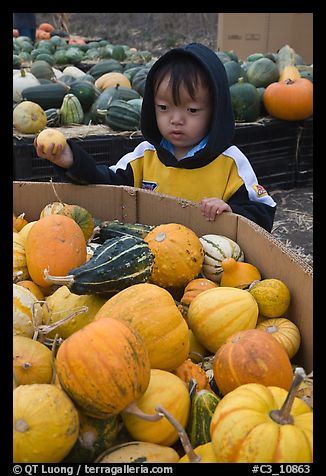 October 26, 2008.  (color)