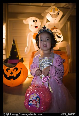 October 31, 2008.  (color)