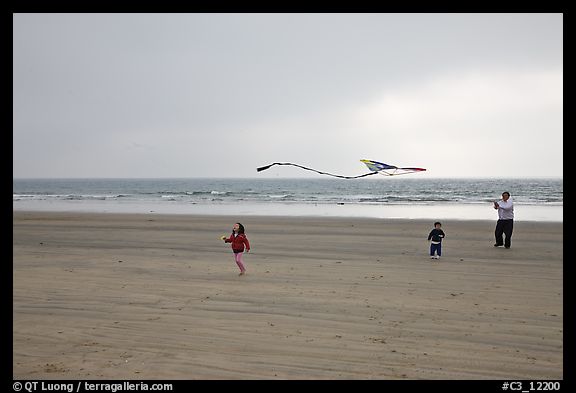 January 8, 2009.  (color)