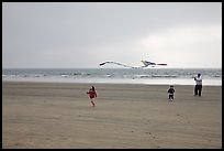 January 8, 2009.  ( color)