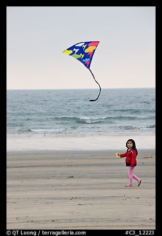 January 8, 2009.  (color)