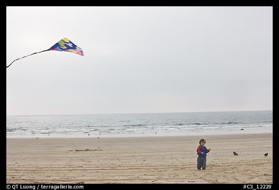 January 8, 2009.  (color)
