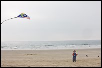 January 8, 2009.  ( color)