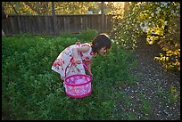 April 4, 2009.  ( color)
