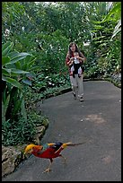 2004 Sept 06.  ( color)
