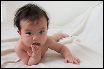 Pictures of Vi-Van's Eighth Month