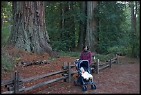2004 Nov 26.  ( color)