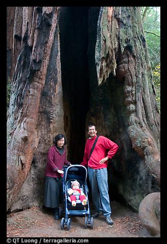 2004 Nov 26.  (color)