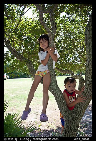 October 4, 2010.  (color)