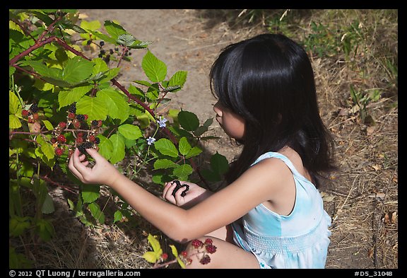 August 4, 2011.  (color)