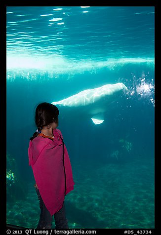 June 27, 2012.  (color)