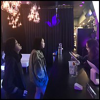 February 11, 2020.  (Panoramic color)
