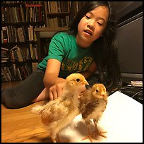 Pictures of May 2017
