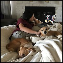 Pictures of November 2017
