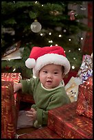 Pictures of Vi-Van's Ninth Month - Thanksgivings to New Year