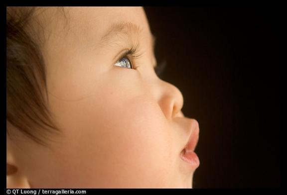 2004  Dec 31.  (color)