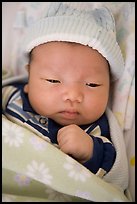 Pictures of Minh-Dan 2005