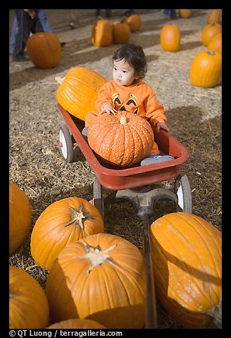 31 Oct 2005.  (color)
