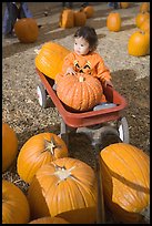 31 Oct 2005.  ( color)