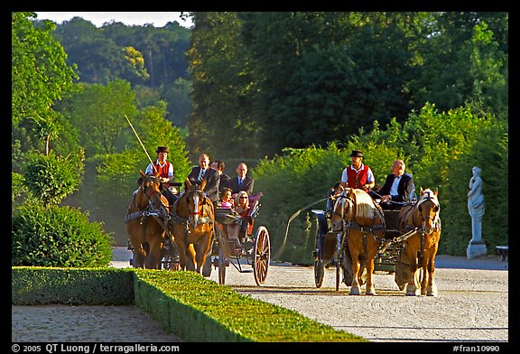 Horse carriages in the Versailles palace gardens. France