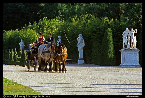 Horse carriage in an alley of the Versailles palace gardens. France (color)