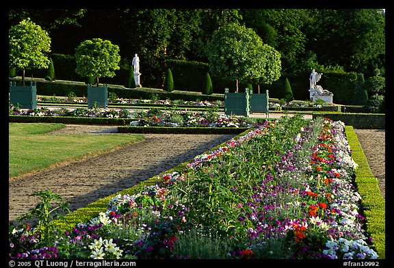 Flowers in formal gardens of the Versailles palace. France (color)