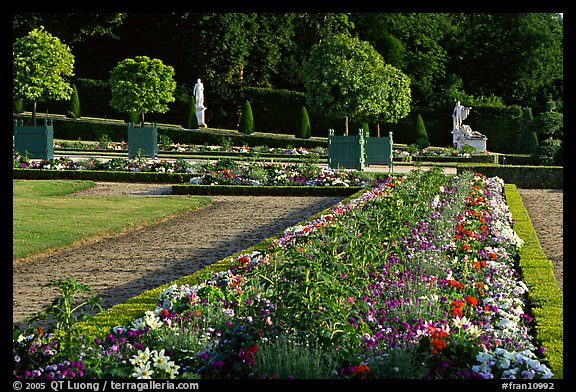 Flowers in formal gardens of the Versailles palace. France