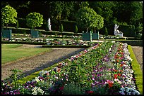Flowers in formal gardens of the Versailles palace. France