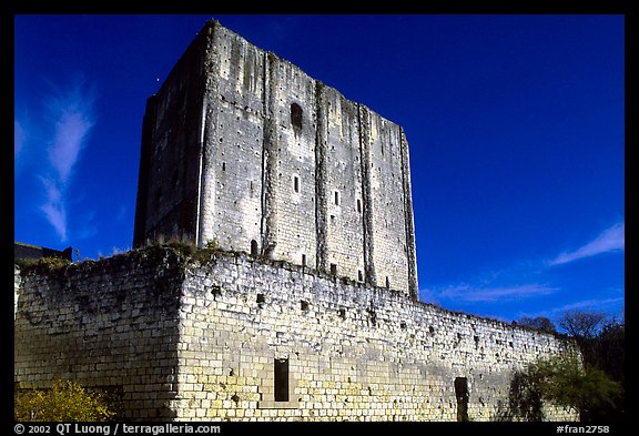 Medieval dungeon of the Loches castle. Loire Valley, France