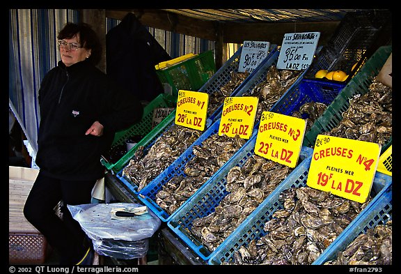 Stand with a variety of oysters in Cancale. Brittany, France