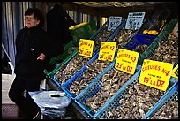 Stand with a variety of oysters in Cancale. Brittany, France ( color)