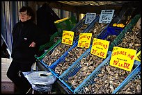 Stand with a variety of oysters in Cancale. Brittany, France ( color)