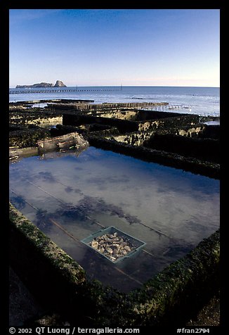 Oyester cages in Cancale. Brittany, France