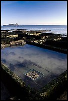 Oyester cages in Cancale. Brittany, France (color)