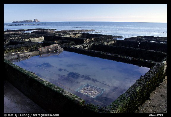 Oyester cages in Cancale. Brittany, France