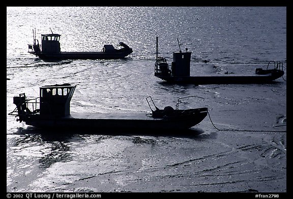 Flat-bottom fishing boats at low tide, Cancale. Brittany, France