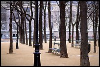 Park in winter, place Dauphine, ile de la Cite. Paris, France (color)