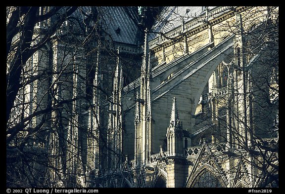 Notre Dame Cathedral buttress detail. Paris, France